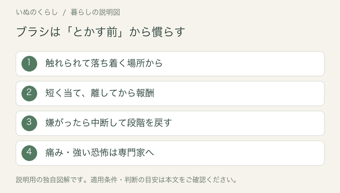 ブラシは「とかす前」から慣らす。触れられて落ち着く場所から、短く当て、離してから報酬、嫌がったら中断して段階を戻す、痛み・強い恐怖は専門家へ。説明用図解。