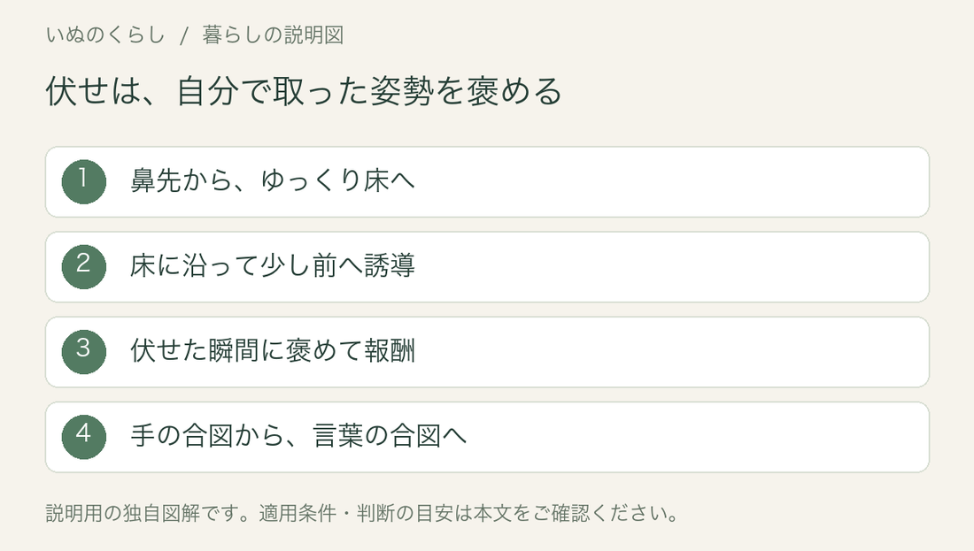 伏せは、自分で取った姿勢を褒める。鼻先から、ゆっくり床へ、床に沿って少し前へ誘導、伏せた瞬間に褒めて報酬、手の合図から、言葉の合図へ。説明用図解。