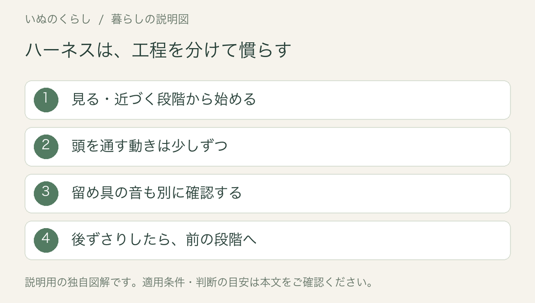 ハーネスは、工程を分けて慣らす。見る・近づく段階から始める、頭を通す動きは少しずつ、留め具の音も別に確認する、後ずさりしたら、前の段階へ。説明用図解。