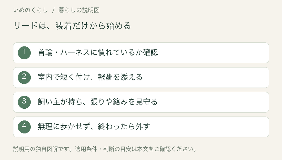リードの装着練習の説明図。首輪やハーネスへの慣れを確認し、室内で短く付けて報酬を添え、張りや絡みを見守り、無理に歩かせず外す。