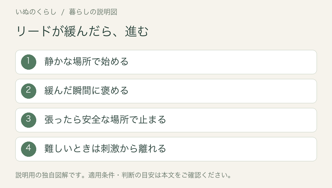 リードが緩んだら、進む。静かな場所で始める、緩んだ瞬間に褒める、張ったら安全な場所で止まる、難しいときは刺激から離れる。説明用図解。