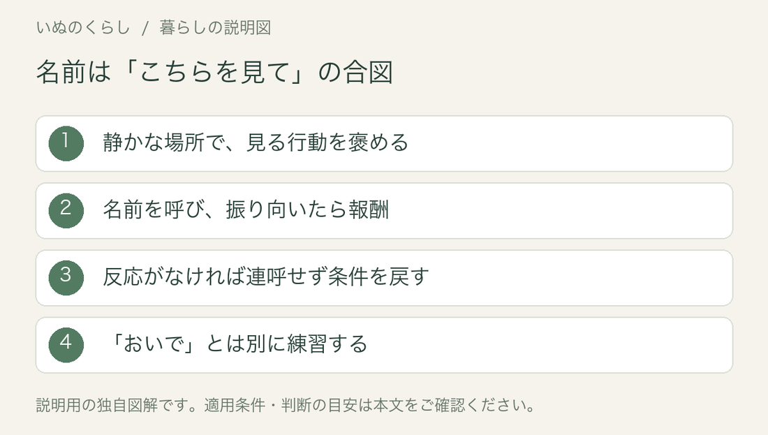 名前は「こちらを見て」の合図。静かな場所で、見る行動を褒める、名前を呼び、振り向いたら報酬、反応がなければ連呼せず条件を戻す、「おいで」とは別に練習する。説明用図解。