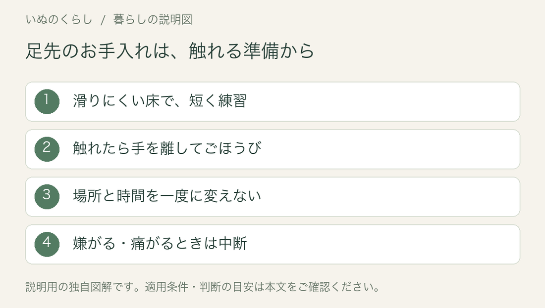 足先のお手入れは、触れる準備から。滑りにくい床で、短く練習、触れたら手を離してごほうび、場所と時間を一度に変えない、嫌がる・痛がるときは中断。説明用図解。