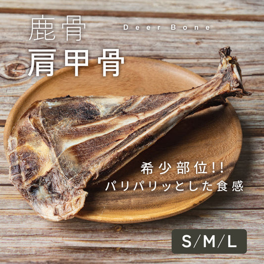 【40g / 70g / 110g】犬 鹿骨 おやつ 鹿の骨 鹿角 無添加 肩甲骨 希少 ジビエ 犬用おやつ 骨 犬のおやつ デンタルケア ドッグフード 小型犬 中型犬 大型犬 国産 低脂肪 高たんぱく ギフト td-1013-m