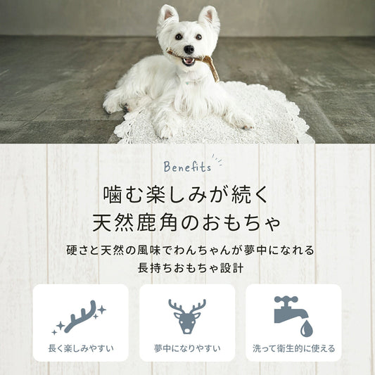 td-1026 商品詳細