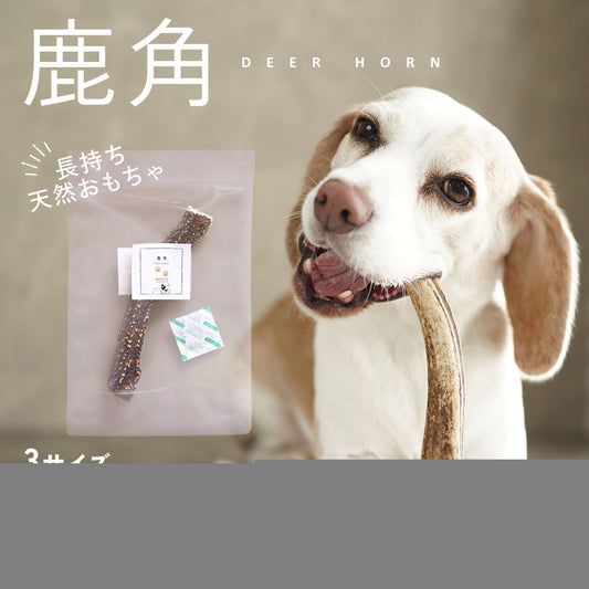 【長持ち天然おもちゃ◎鹿の角】鹿の角 犬 鹿角 おやつ 無添加 ペット 鹿 天然 国産 歯石 ケア デンタルケア ガム 犬のおやつ 歯磨き おもちゃ ニホンジカ ドッグフード 犬の玩具 ギフト 小型犬 中型犬 大型犬 td-1026