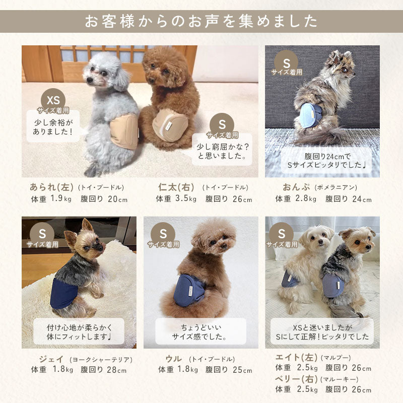td-1030 商品詳細