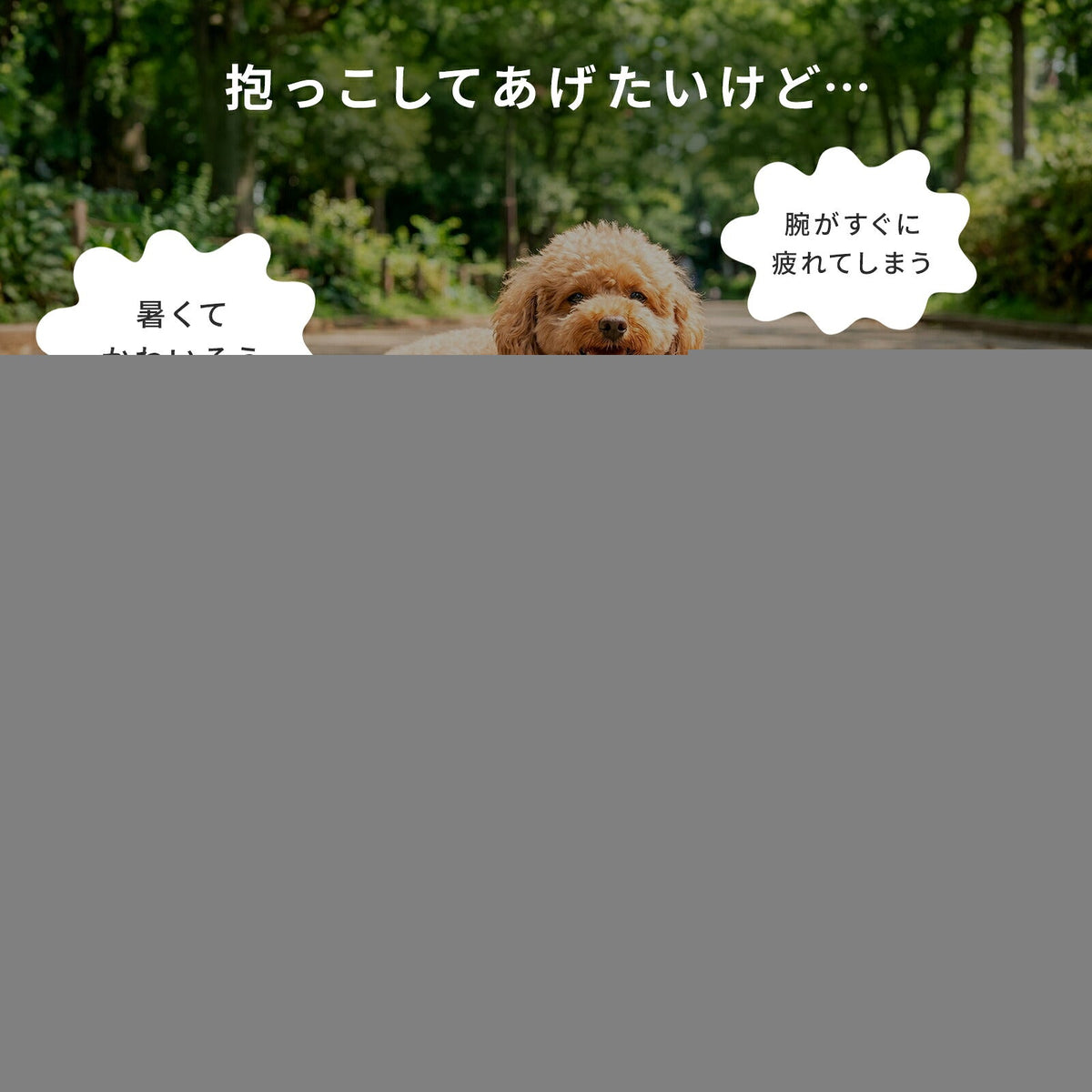 td-1046 商品詳細