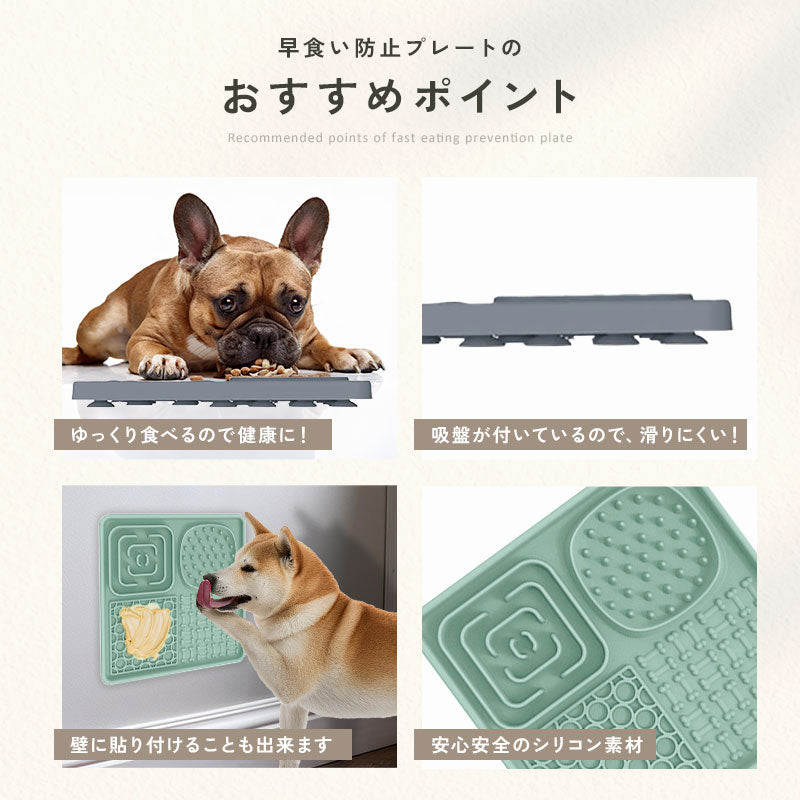 td-1049 商品詳細