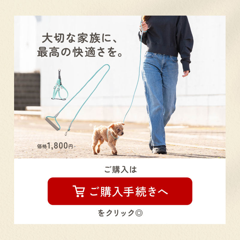 td-1058 商品詳細