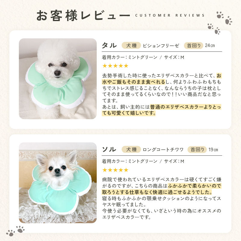 td-1071 商品詳細