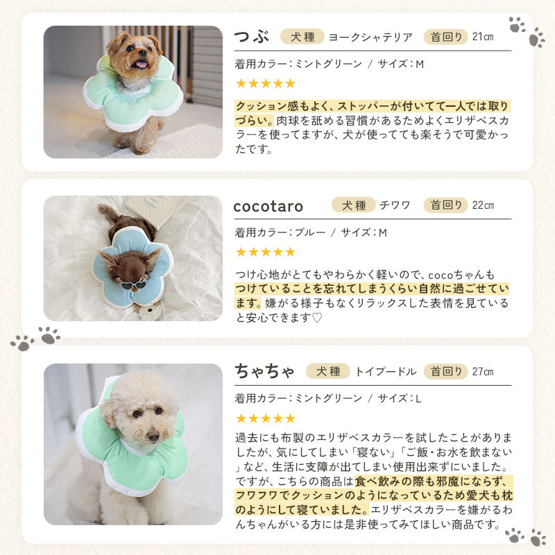 td-1071 商品詳細