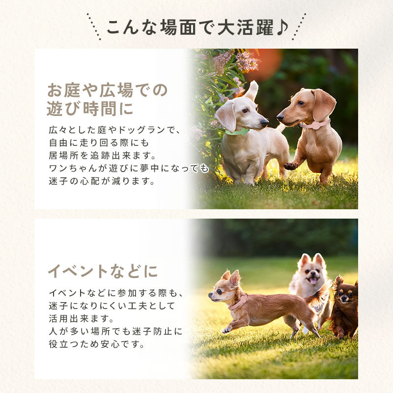 td-1074 商品詳細