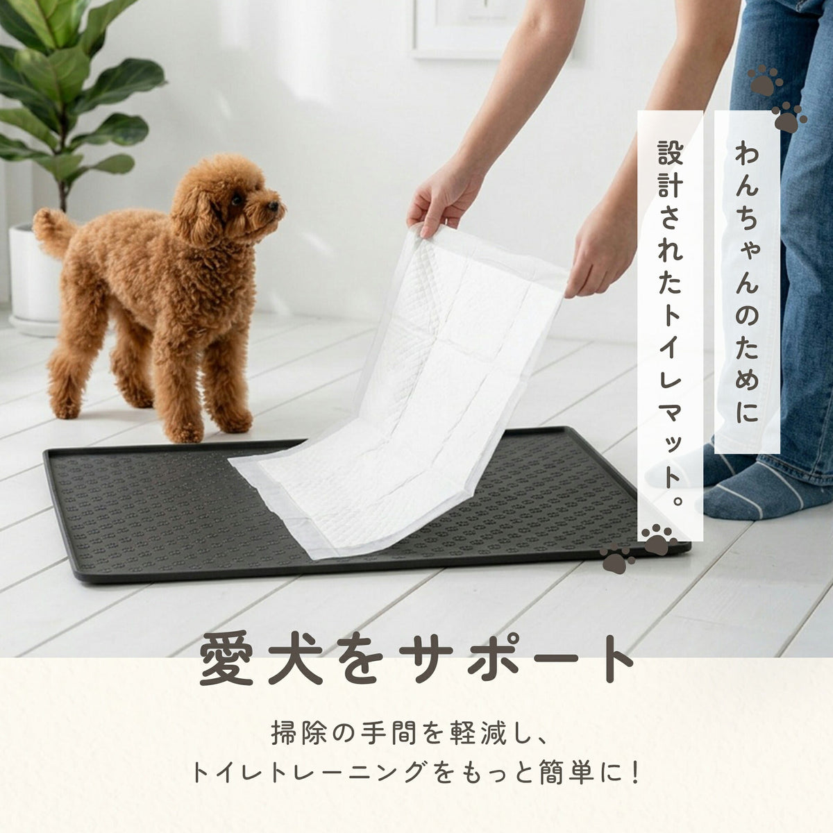 td-1080 商品詳細