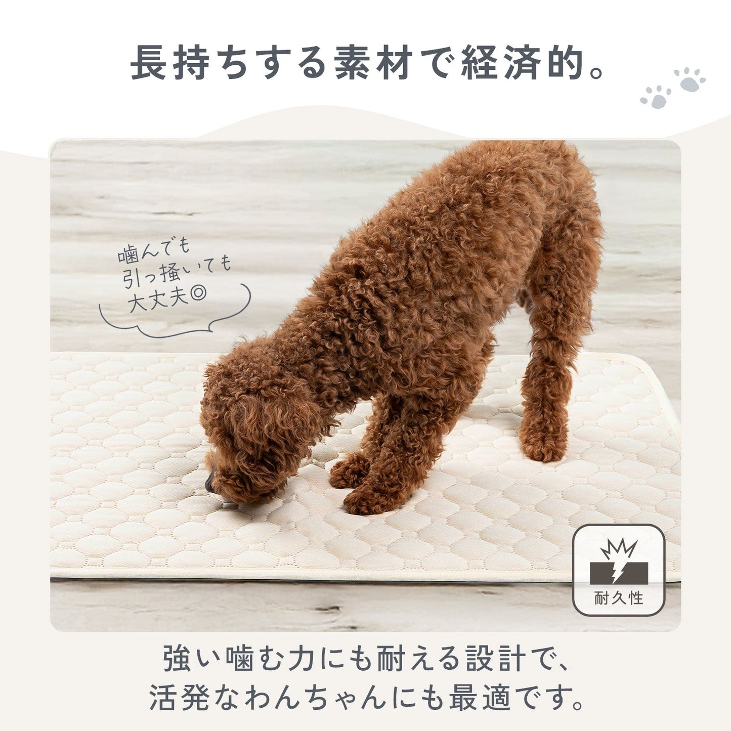 td-1083 商品詳細