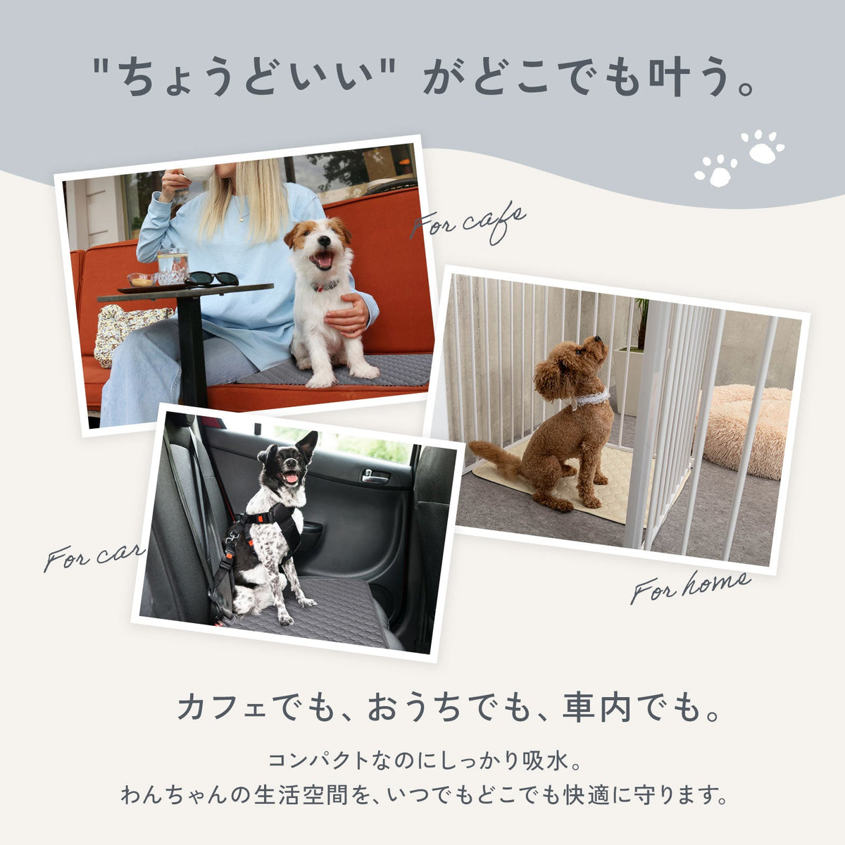 td-1083 商品詳細