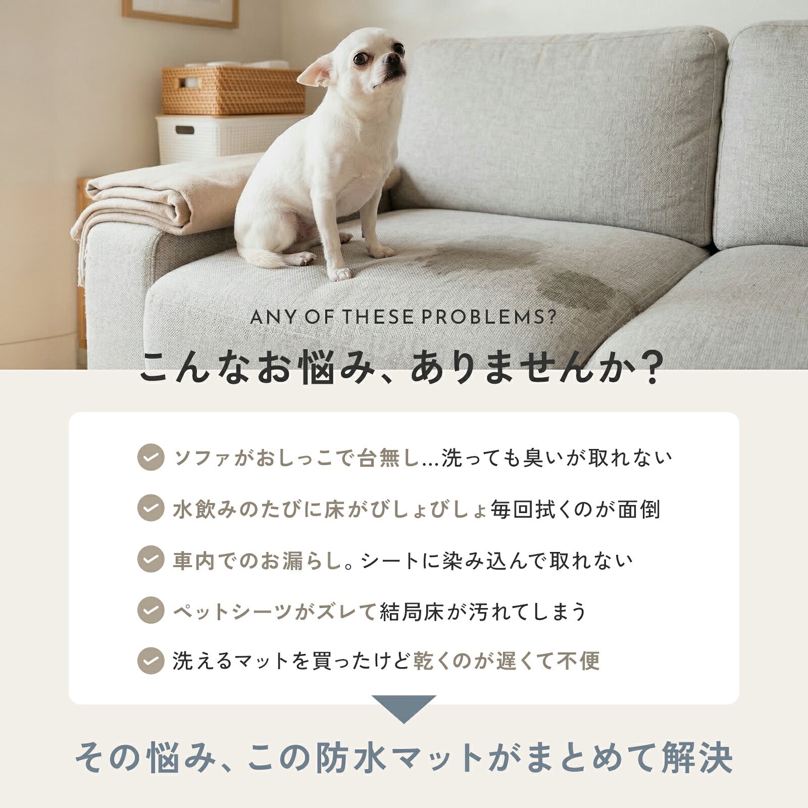 td-1094 商品詳細