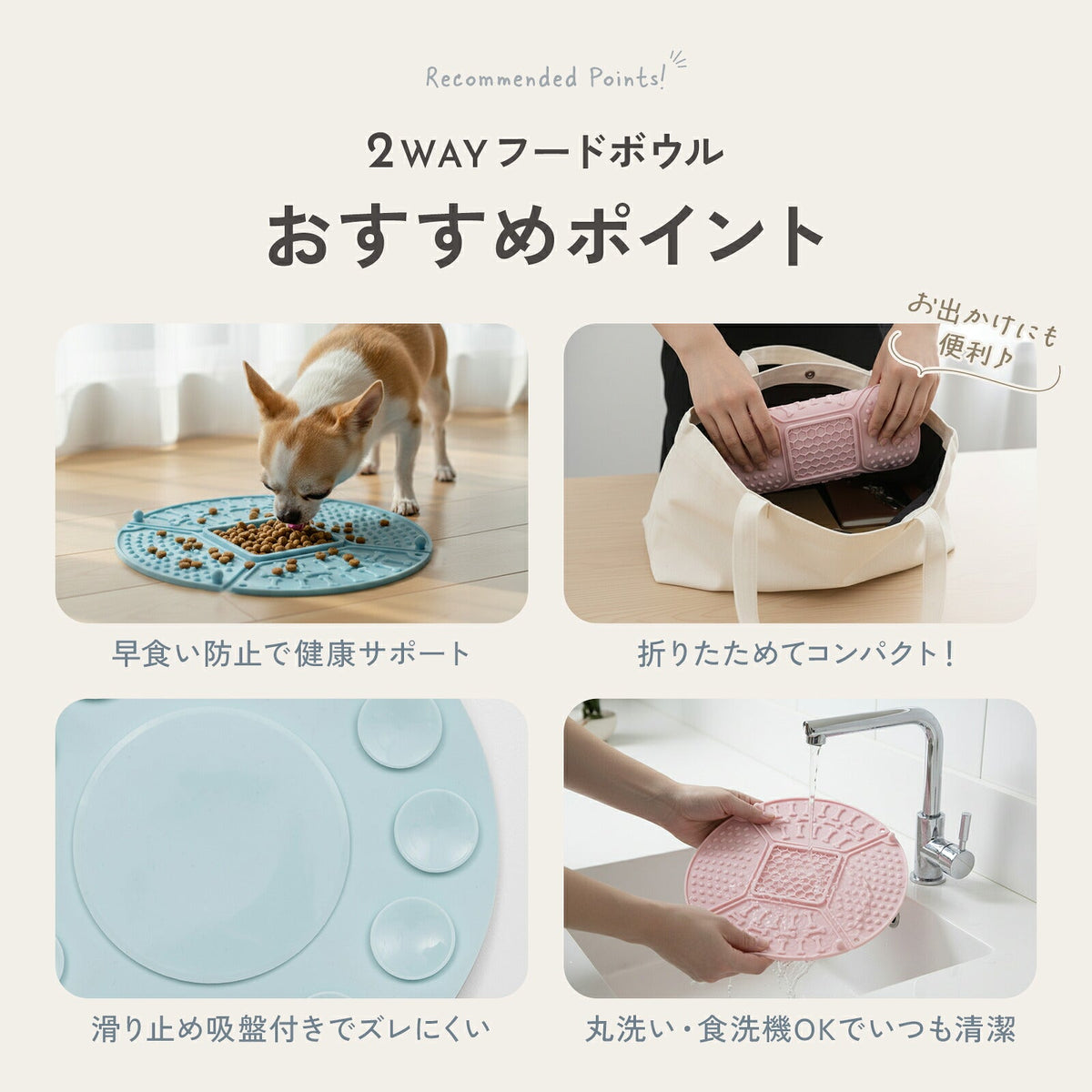 td-1095 商品詳細