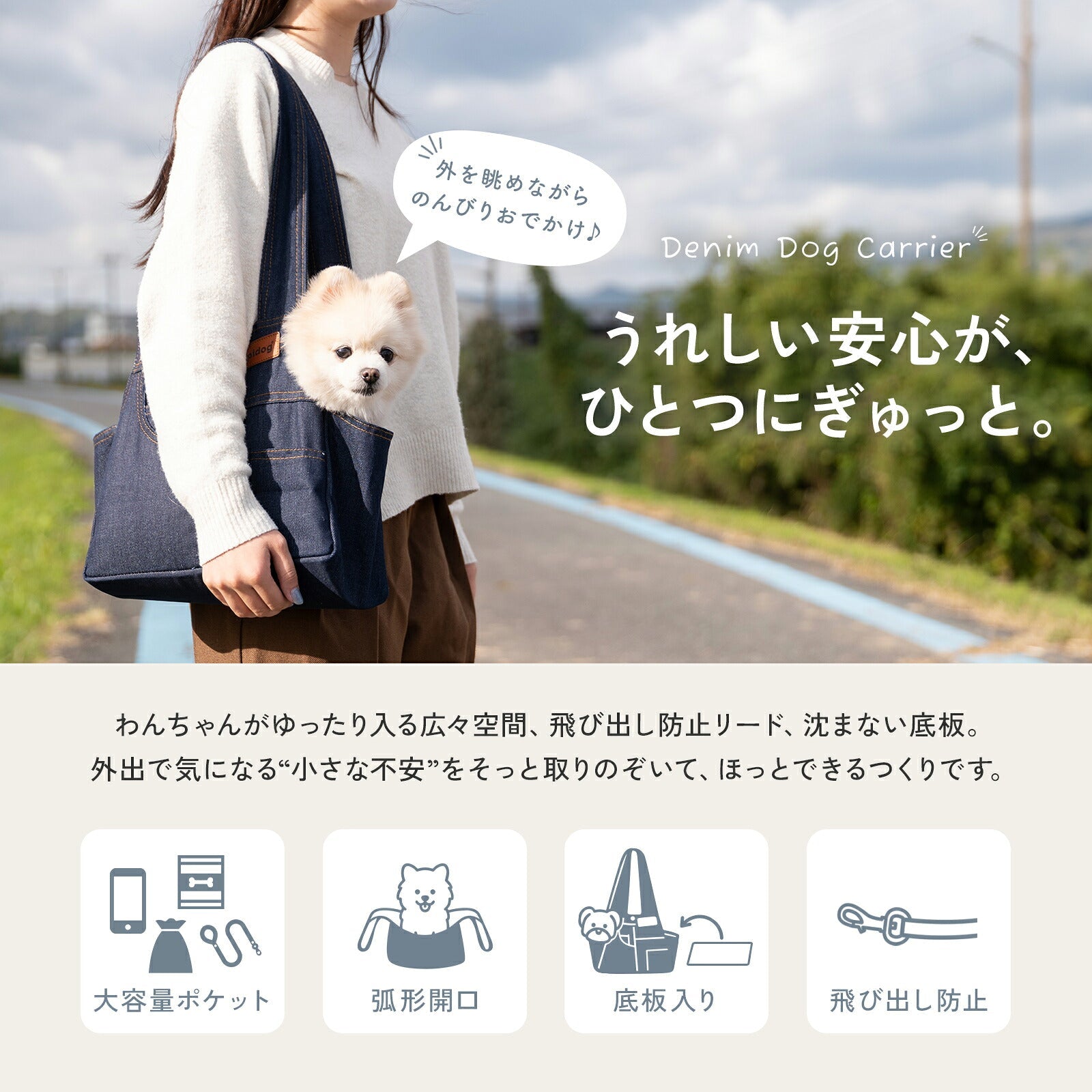 td-1096 商品詳細