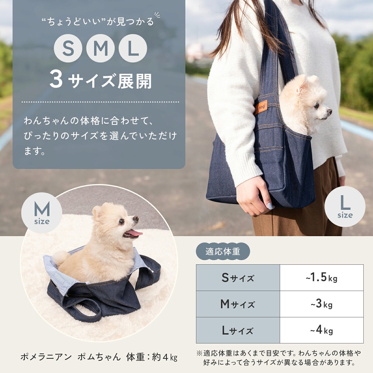 td-1096 商品詳細