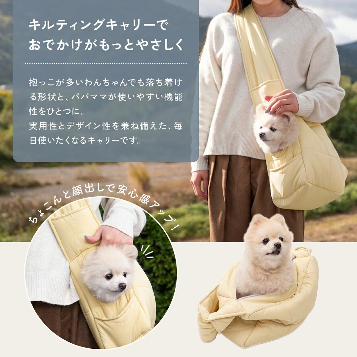 td-1097 商品詳細