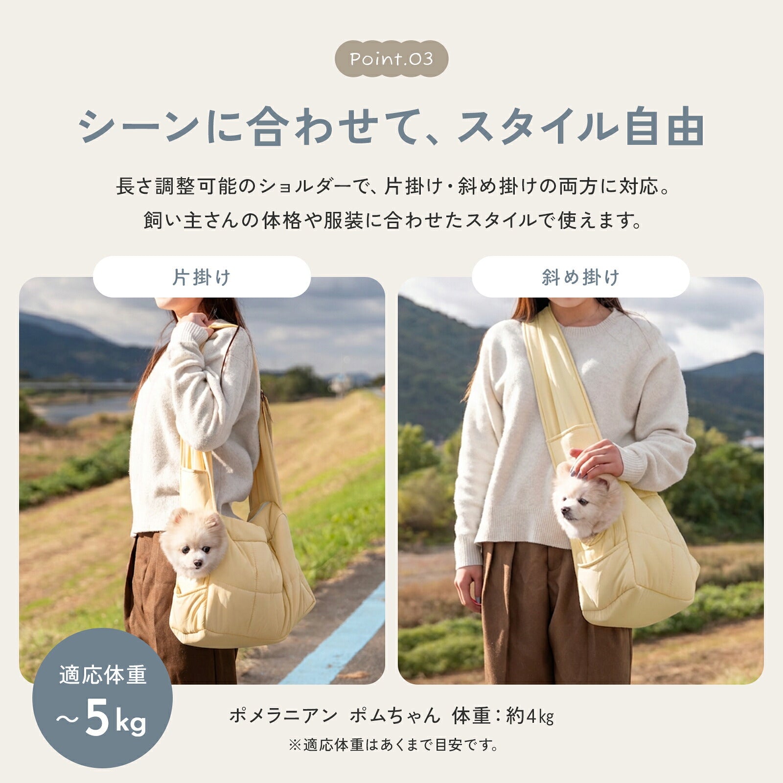 td-1097 商品詳細