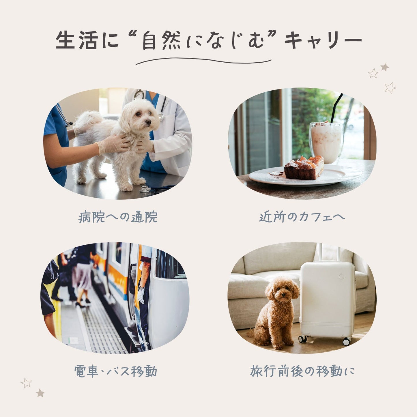 td-1100 商品詳細