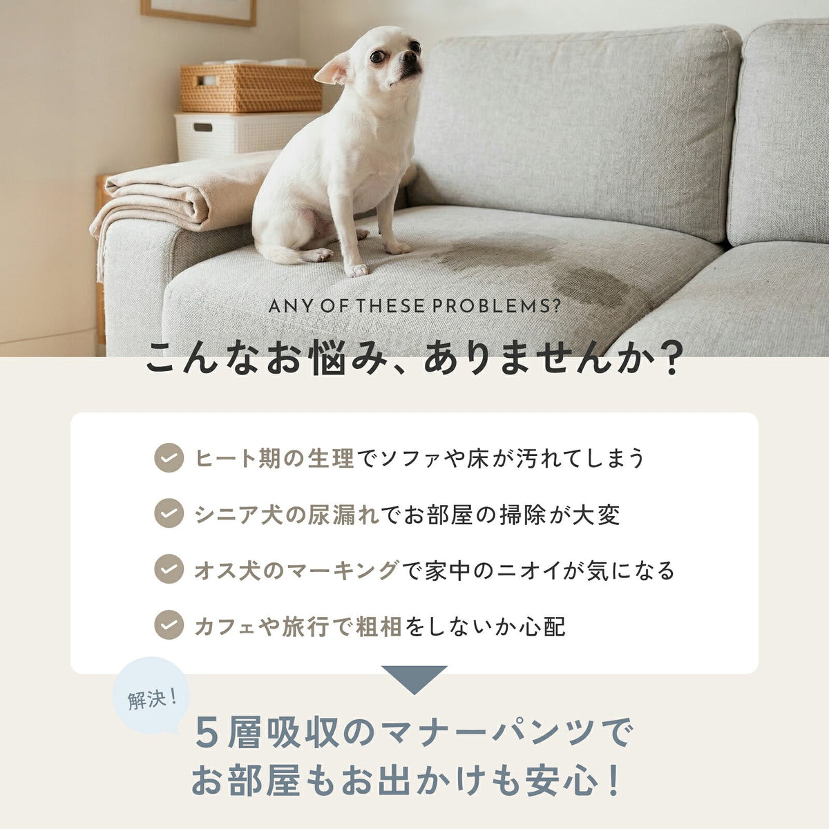 td-1102 商品詳細1