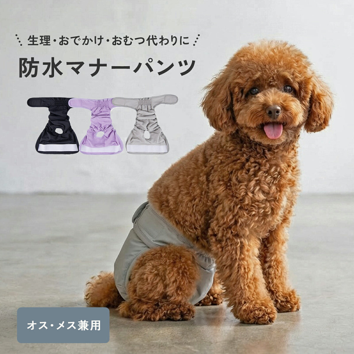 防水マナーパンツ td-1102