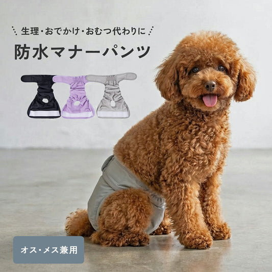 防水マナーパンツ td-1102