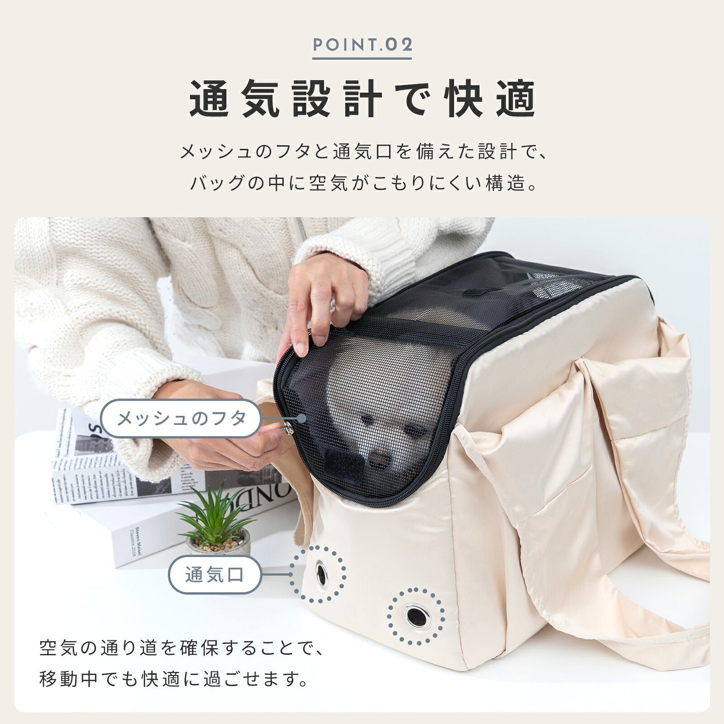 td-1113 商品詳細