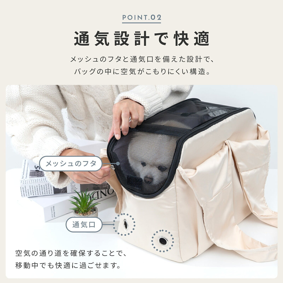 td-1113 商品詳細