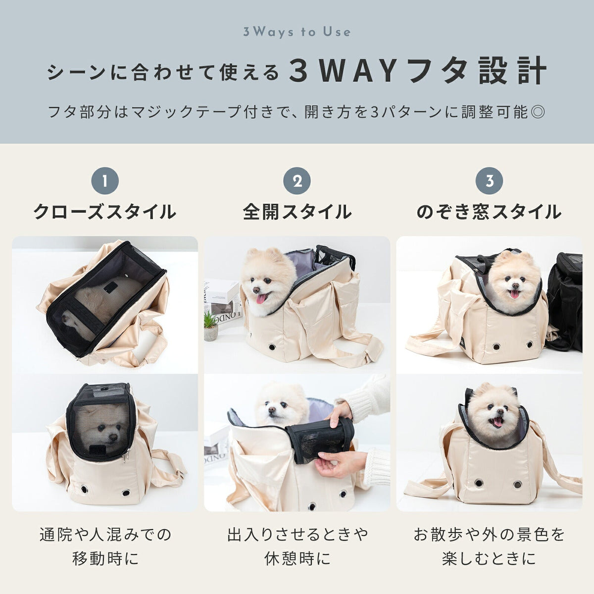 td-1113 商品詳細