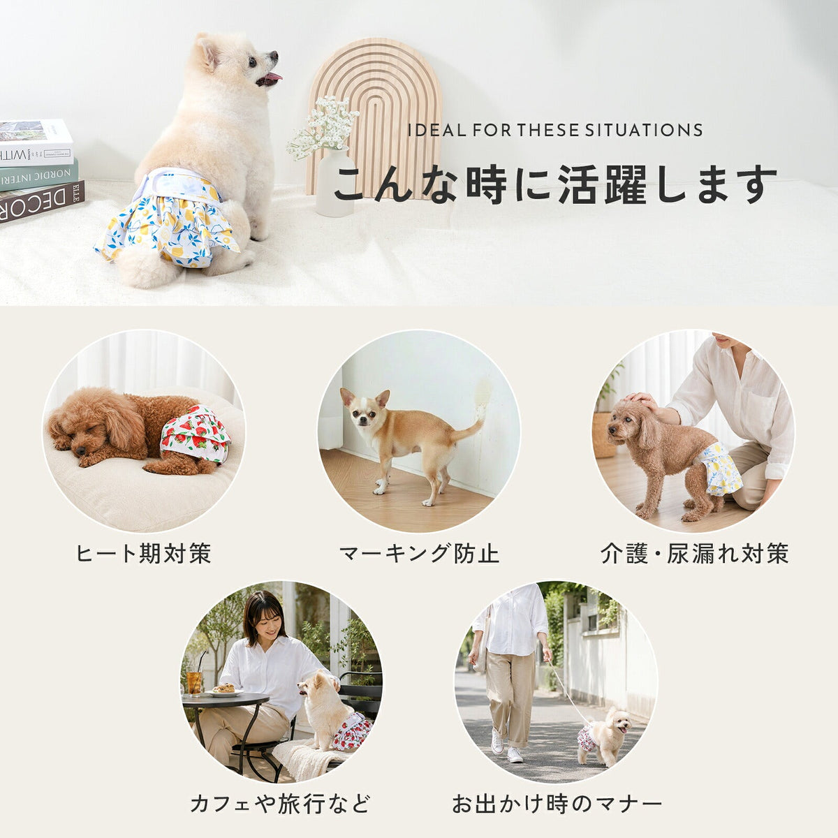 td-1115 商品詳細