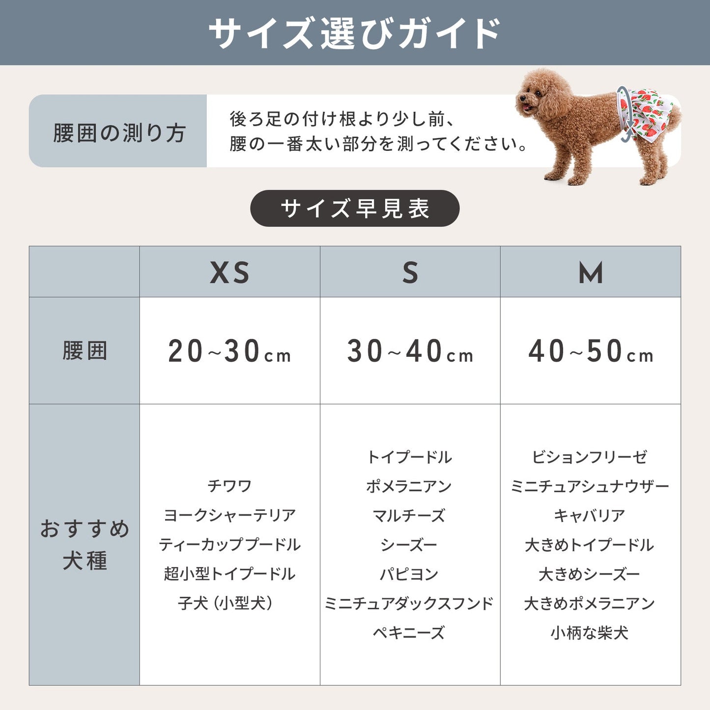 td-1115 商品詳細