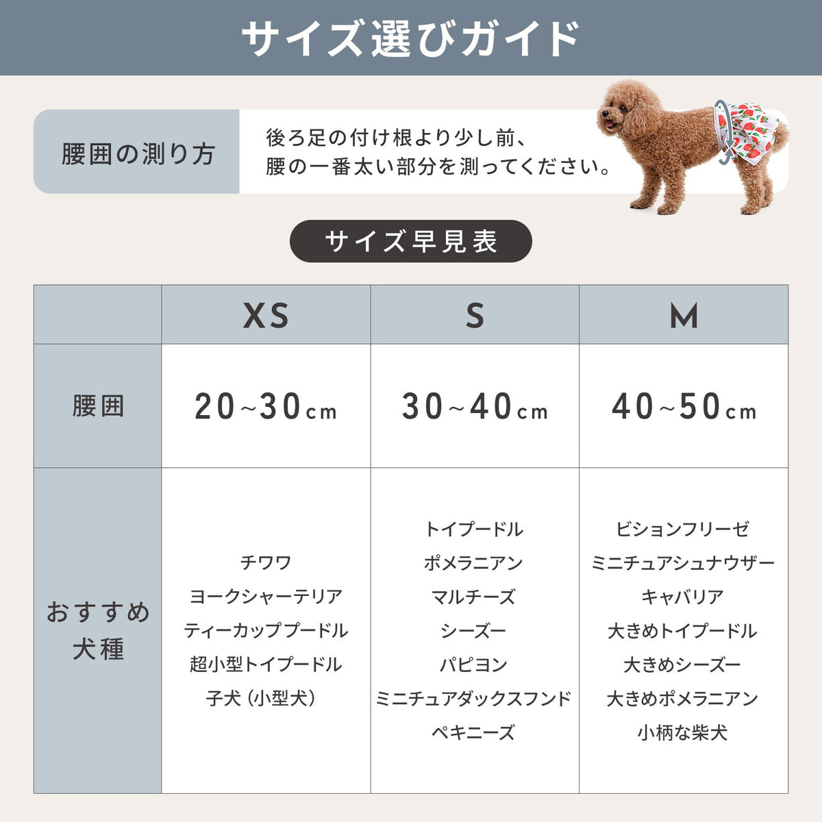 td-1115 商品詳細