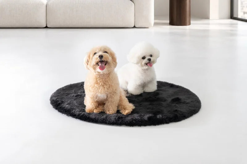 黒いオーバル型のマットに並んで座る茶色い犬と白い犬