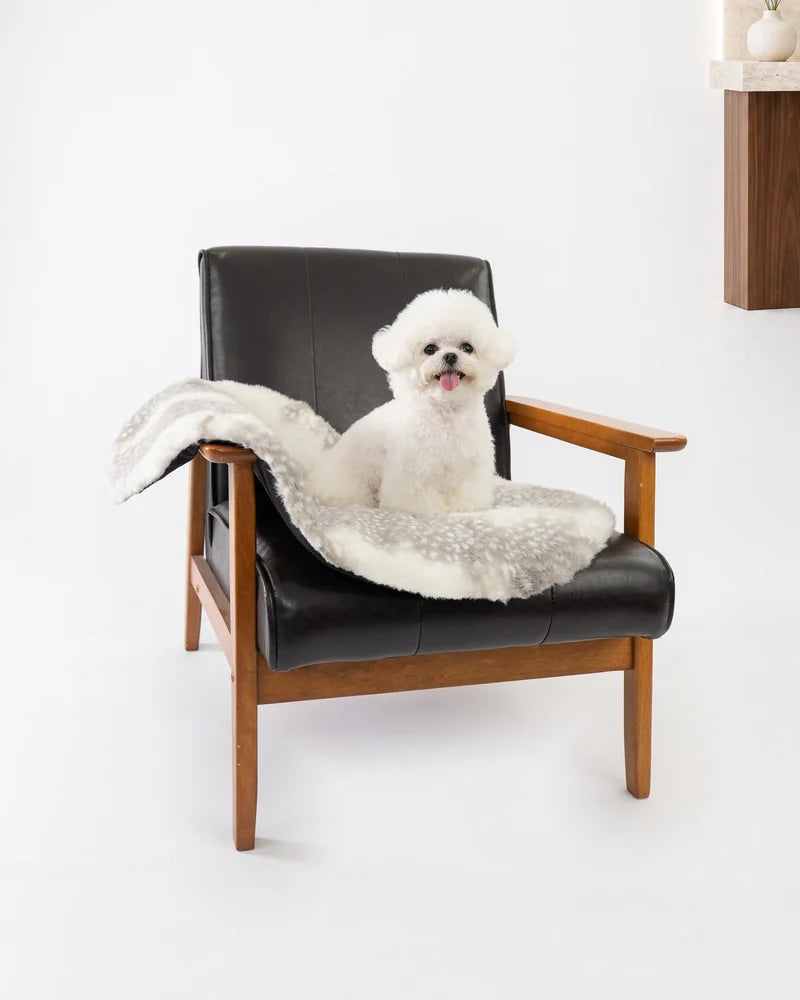 バンビ柄マットを掛けた木製のレザー椅子に座る白い犬