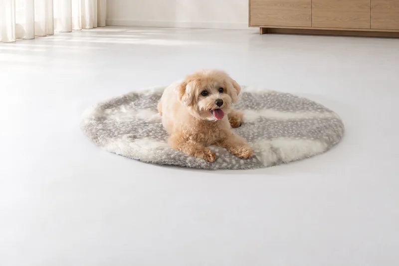 グレーバンビマットに前脚を伸ばして伏せる茶色い犬