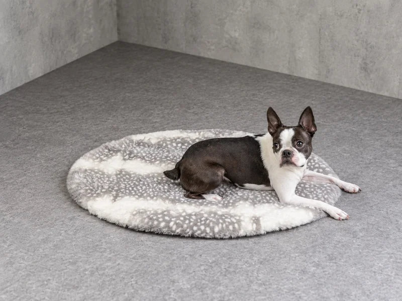 グレーとオフのマットに伏せる犬