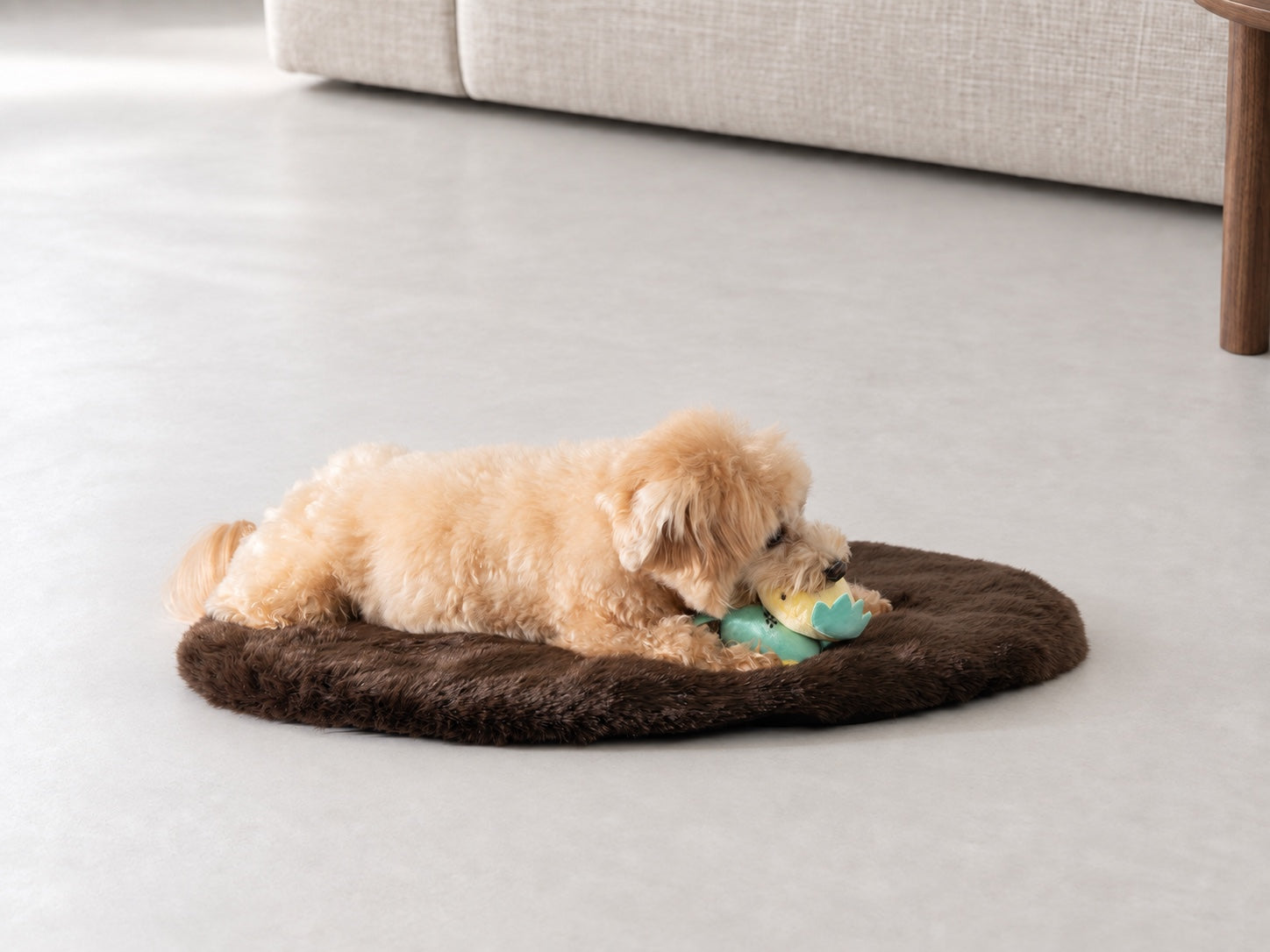 ブラウンのマットでおもちゃと過ごす犬